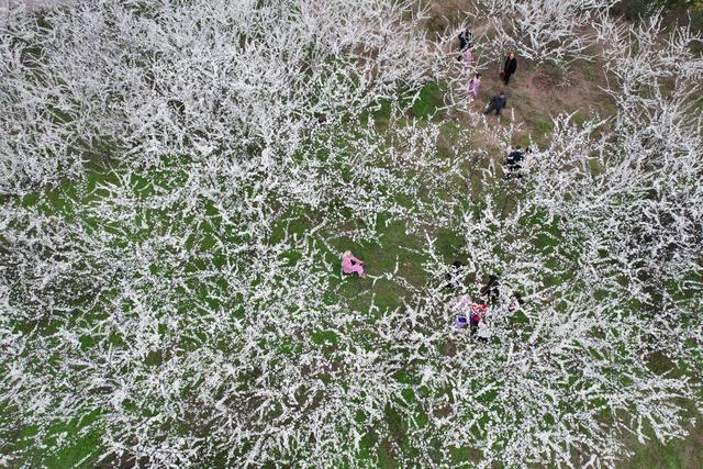 四川内江：踏青赏花 乐享春光