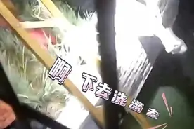 天津武清：大哥凌晨被热得跳进河里洗澡，不料摔伤被困，消防赶赴后见大哥翘着脚丫，双手撑在水中，造型清奇图片