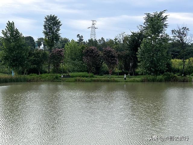 成都最近的原野公园，超级惊艳，一个湖风景就是王者，公交直达！