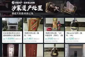 定安县“黑老大”涉黑资产专题拍卖图片