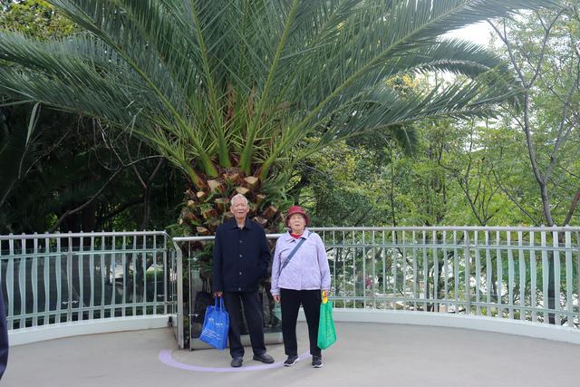 昆明的空中栈道建设是一个极好的构思