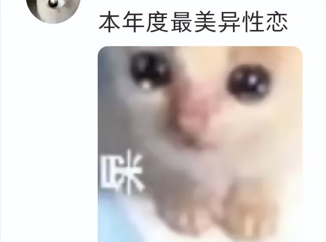 这对姐弟恋…这么甜的吗？我倒看看多好磕？