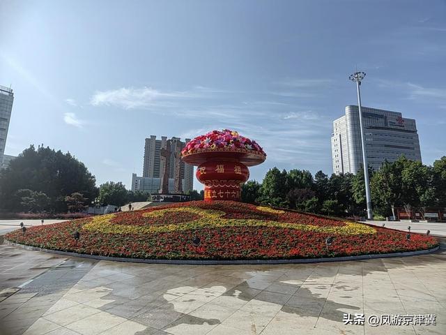 保定市第二十六届金秋菊展开展，4大展区持续至10月底