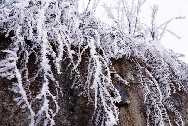 遵义这里的雪景太迷人了！