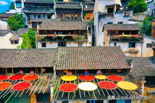 你最希望在旅游过程中收获些什么?