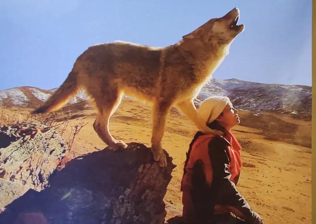 16年了！洗白“狼心狗肺”的格林走了，看哭全网