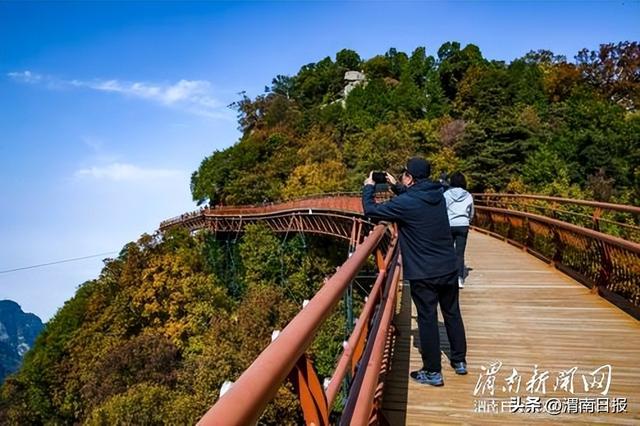 少华秋色“醉”游人