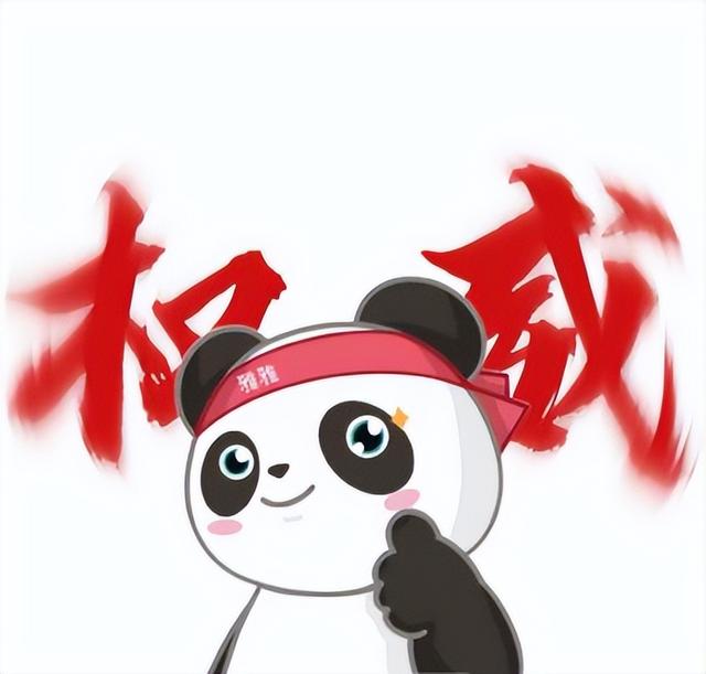 和大熊猫贴贴这一块，雅安还是太权威了！