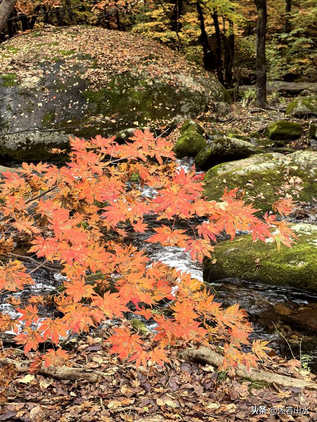 2025辽宁赏秋之旅日记(3)——游览洋湖沟和老边沟