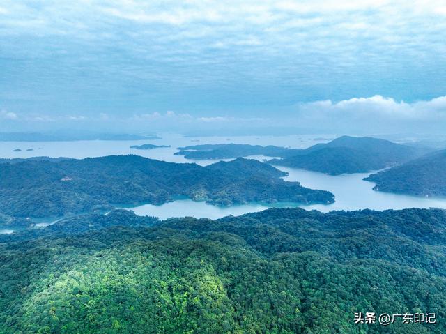 城在林中，林在城中：千年古城奏响绿色崛起新乐章