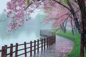 四月春，梦断魂，清风浅眠芳草深，烟雨润色洒衣襟图片