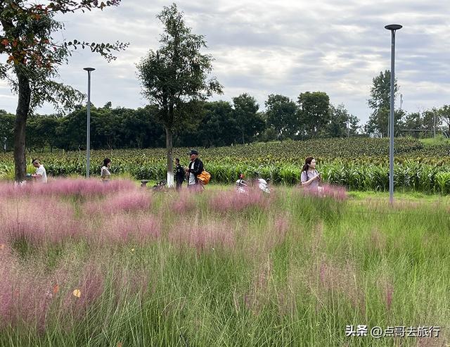 成都隐秘绿洲，三种景致如梦幻，超级惊艳，不要门票，公交直达！