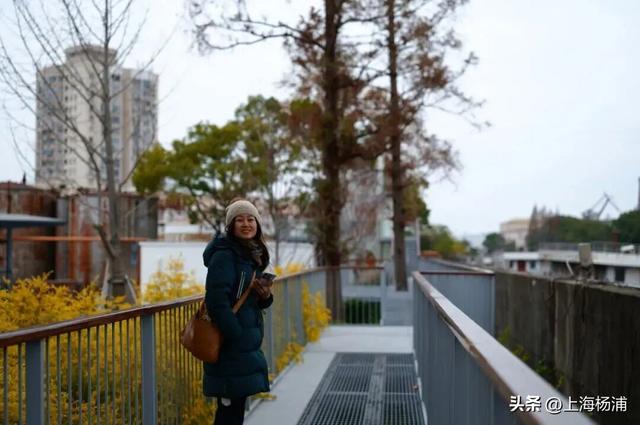 强推！这三条Citywalk路线带你畅游复兴岛和杨浦滨江