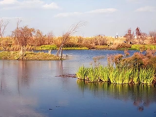 22℃！气温回升！这份温差版江北限定出游指南收好！