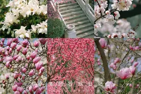 西安春天赏花去哪里？收好这份三、四月最美花海攻略！全部都免费图片