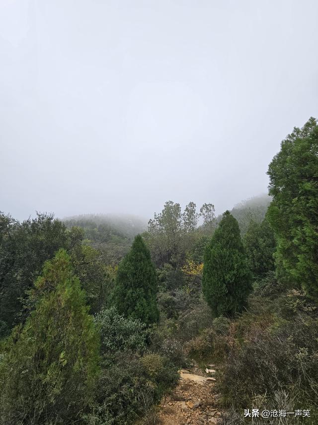 山里那么大，我想去看看，一起打卡大山冬季游吧