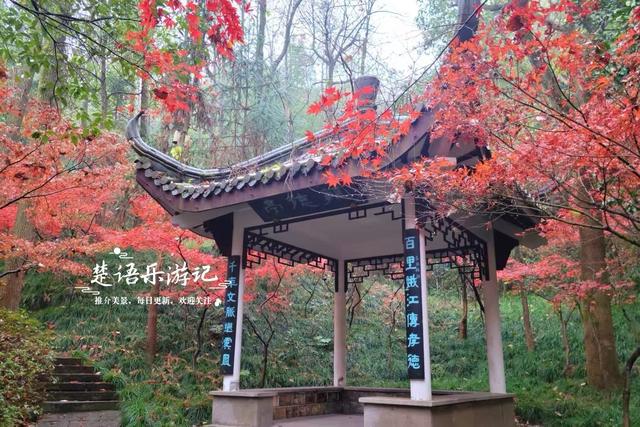 绍兴上虞的绚丽秋色，堪称封神的红枫园林胜境，比风景油画还要美