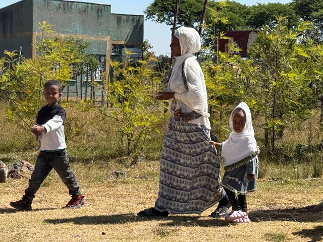 【联合国特别大师】人类祖先露西与世界选美