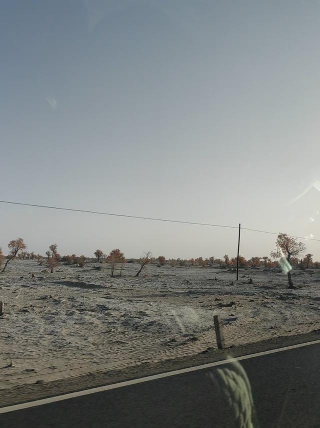 戈壁邂逅盛景 陕建燃情筑梦