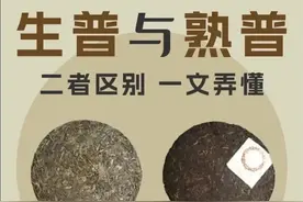 生普洱VS熟普洱，3分钟看懂区别！新手选茶不再懵图片