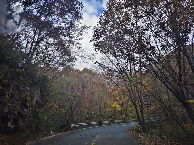 南行漫记：329公里的穿越之路，带你一起看红叶