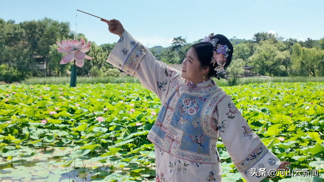 河北承德：盛夏时节荷花绽放 避暑山庄游人如织