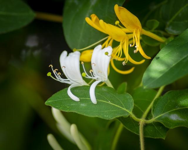 人过五十，永远不要在熟人面前，说以下6句话：谁说谁后悔！