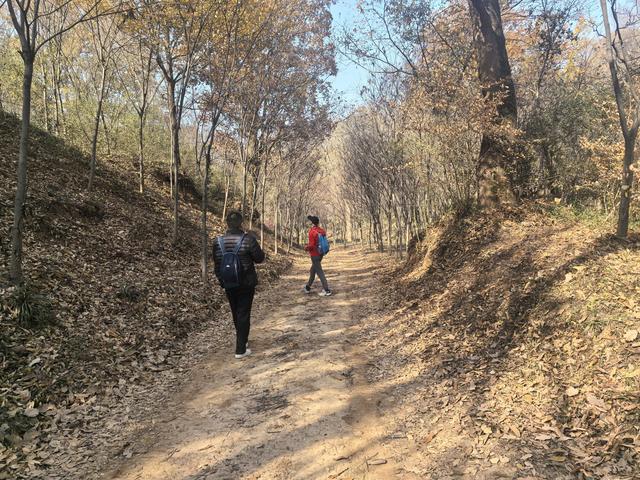 南京老山郊野一日徒步，从狮子岭兜率寺到汤泉惠济寺