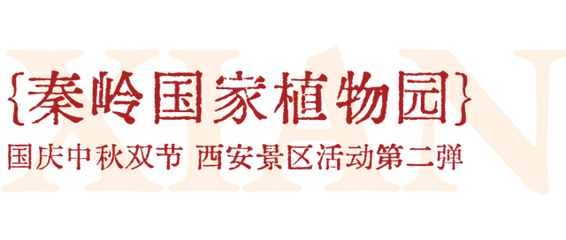 必转！西安国庆活动全剧透！第二弹！