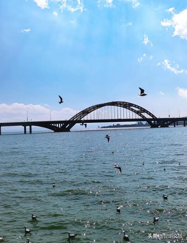 去一次就爱上！昆明滇池边的“小鼓浪屿”，是你冬日治愈的天花板~