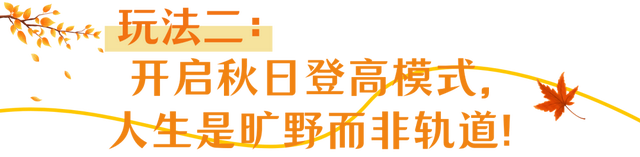 12位小红书博主挖到黄山秋日宝藏！9大私藏站点美到跺脚 | 皖美秋日