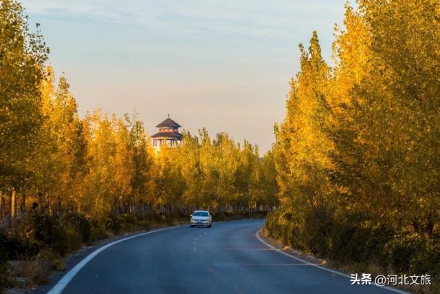 赏秋景、品秋味……来河北永年邂逅秋天里的童话