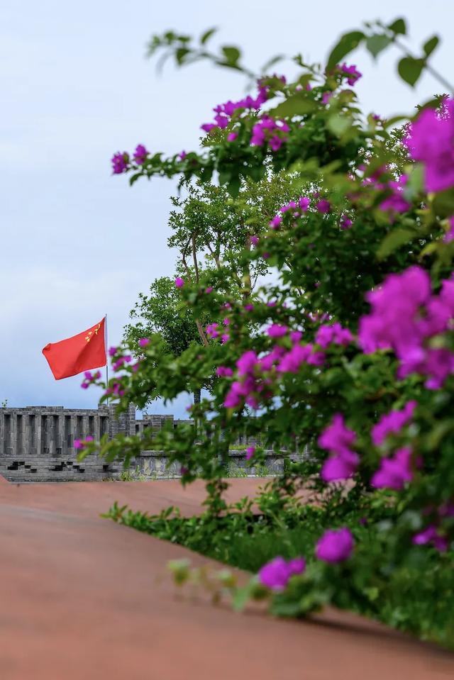 周末带娃去哪玩？宜宾九丝城镇开启亲子"双主题"高能一日游！