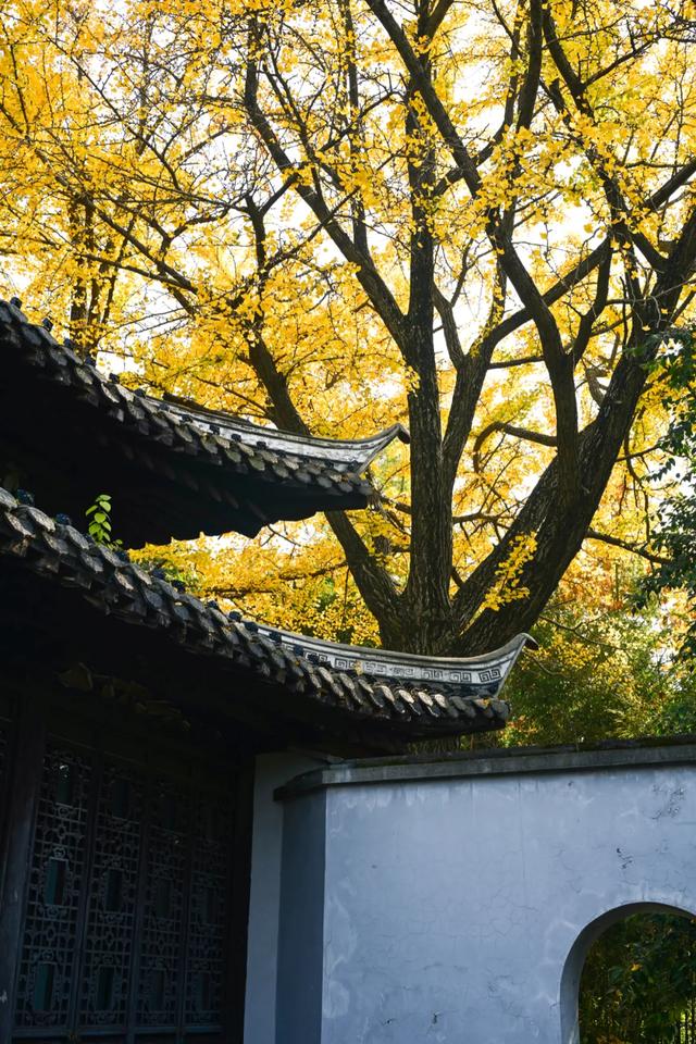 这里是江南诗词最多的城市,它的美有谁懂?