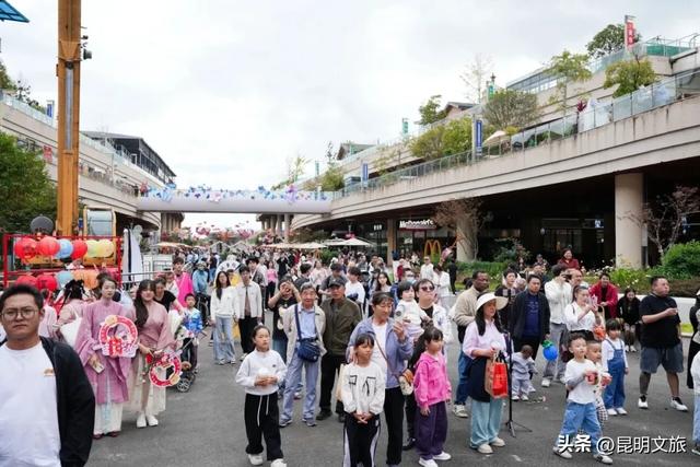 超详细攻略!在昆明官渡,与鸥共舞,六种玩法开启冬日漫游!