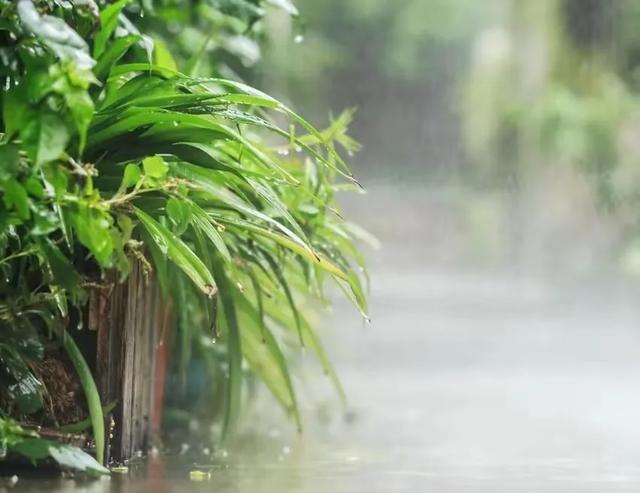 今日入伏，老人说最怕“入伏一日雨”，入伏天下雨有啥预兆？