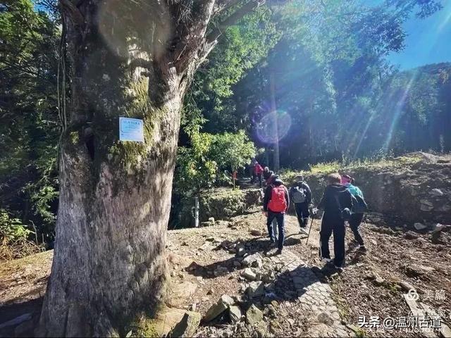 醉美林坑晒秋!这条连接两个避世古村落的省一级古道,周末可走起