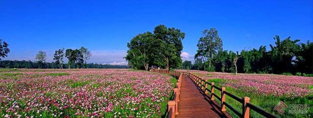 携台湾亲朋自驾游滇西南之十一