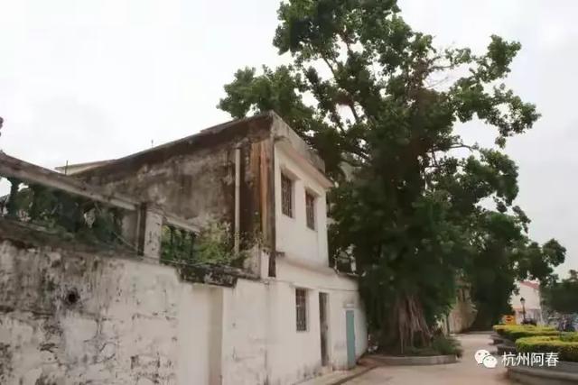 澳门路环，宁静超脱……