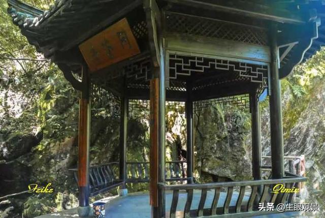 影记 | 衢州钱江源国家森林公园