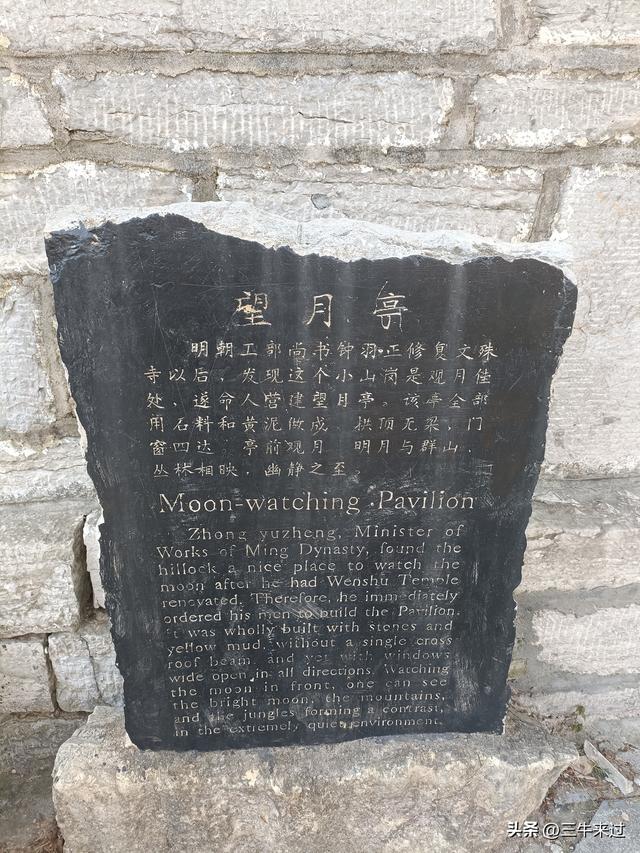 无为在歧路，免费仰天山