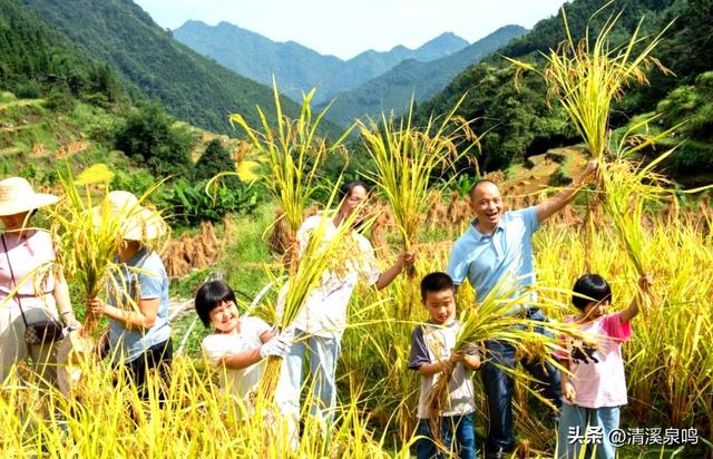 在必背镇的烟火与诗意里，遇见振兴新章——瑶乡秋行记