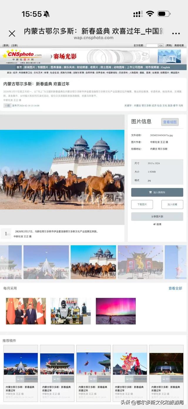 火出圈+高热度！鄂尔多斯文化产业园高光时刻！