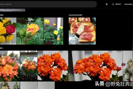 放弃immich之后，我改用photoprisim了图片
