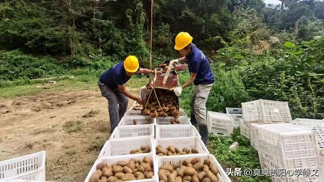 修文“双节”文旅大餐精彩纷呈