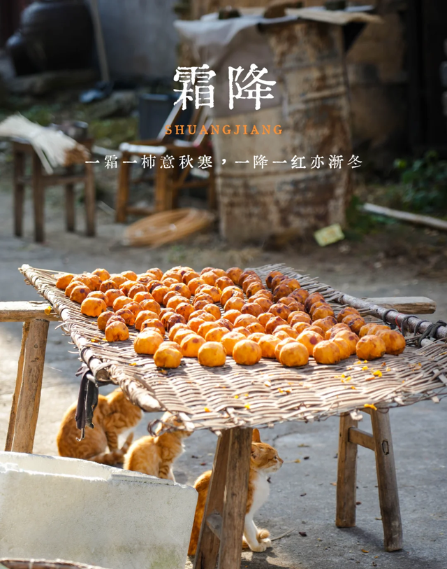 不愧是央视！封神的霜降文案天花板，快收藏这些发朋友祝福的金句