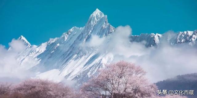 西藏这个地方，即将火爆！真正定义了什么是顶级春色！