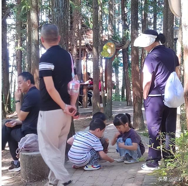 利川避暑山庄苏马荡树林下人们活动剪辑 老人安享晚年 小孩亲近自然