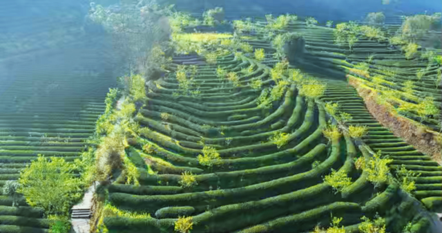 "十一"假期 | 国庆来武夷山，可以这样玩！