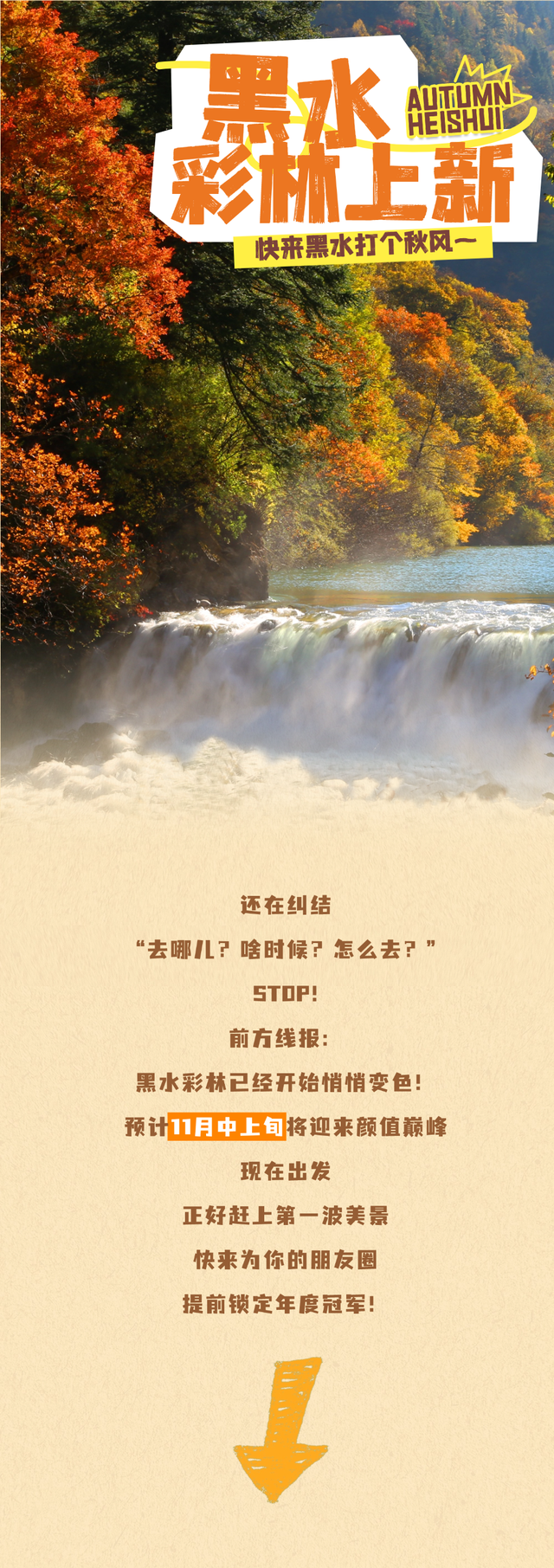 别等了！黑水彩林已上色，第一波惊艳等你接收！